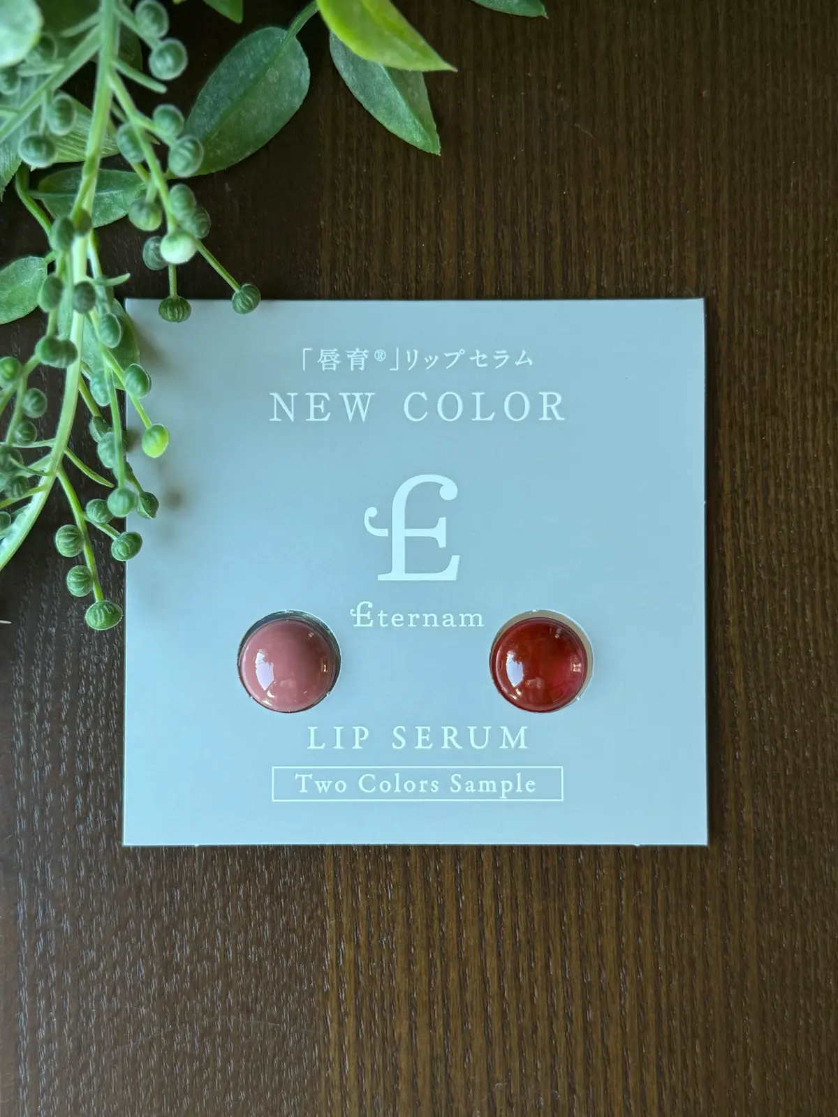 ソワレ・ドゥ・エクラ 　ザ・ストリングス表参道　お土産　エテルナム　再生医療　臍帯由来　幹細胞スキンケア　リップセラム