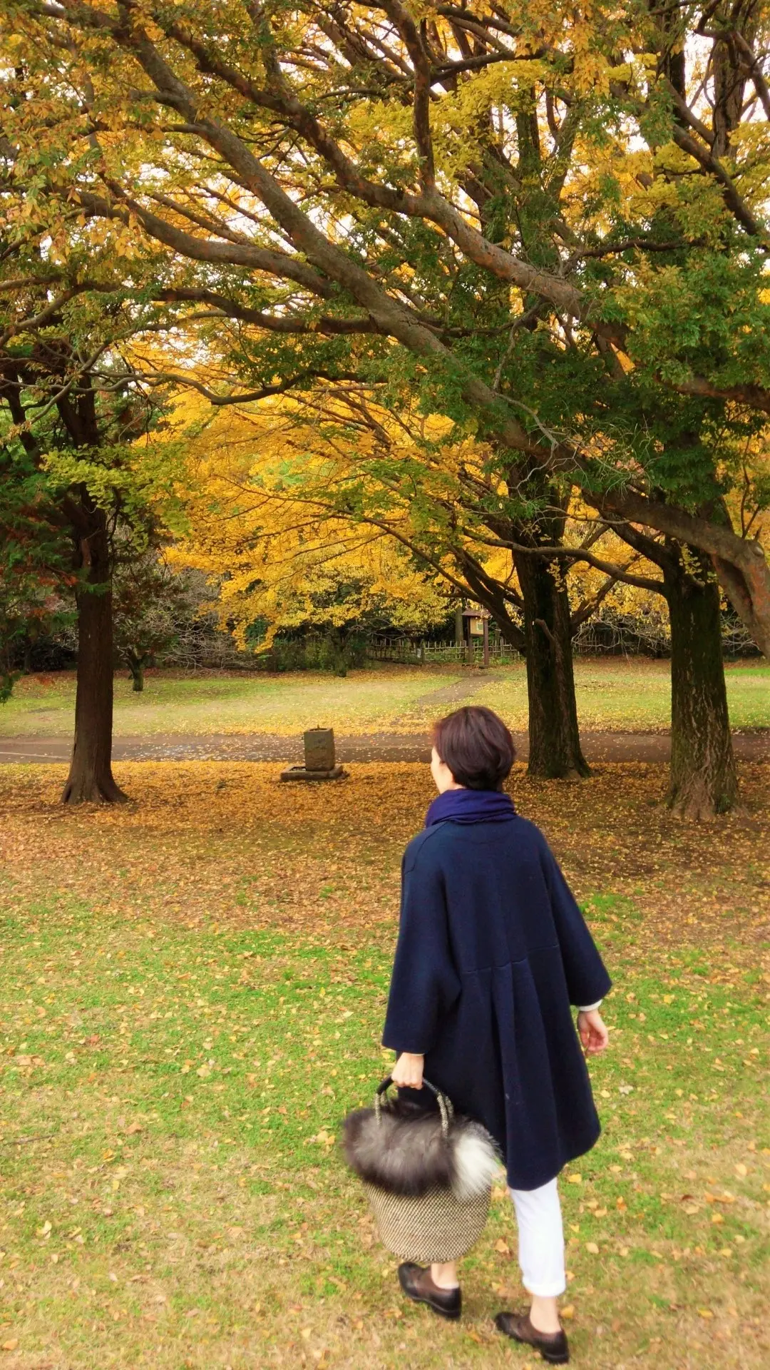 ふわふわのかごバックの画像_2