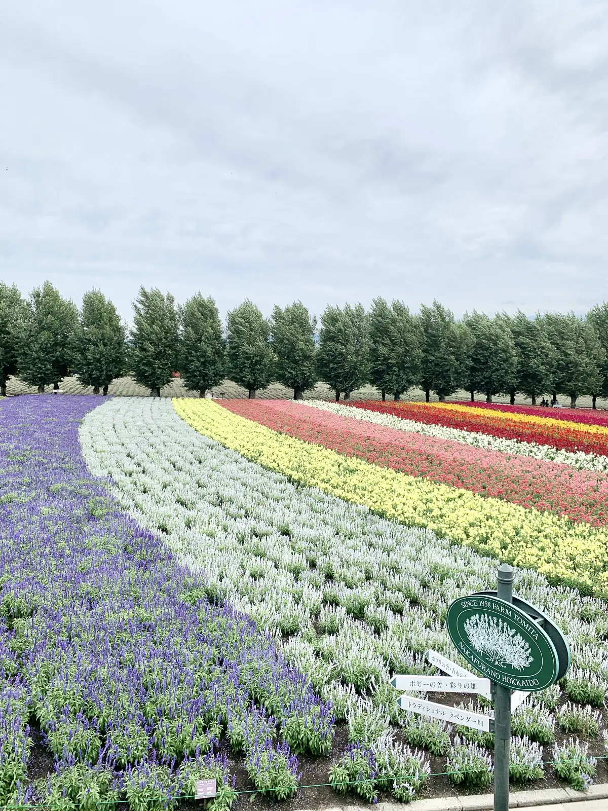 いつか行きたいを叶えた！北海道の旅！の画像_1