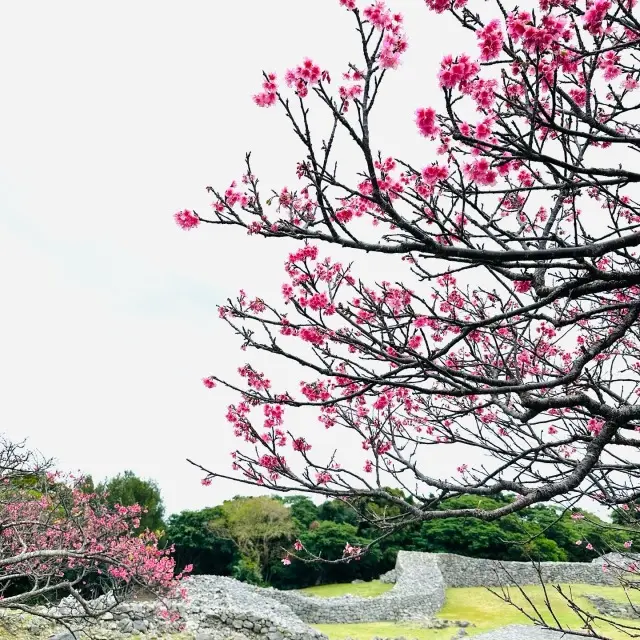 沖縄大人旅。の画像_1