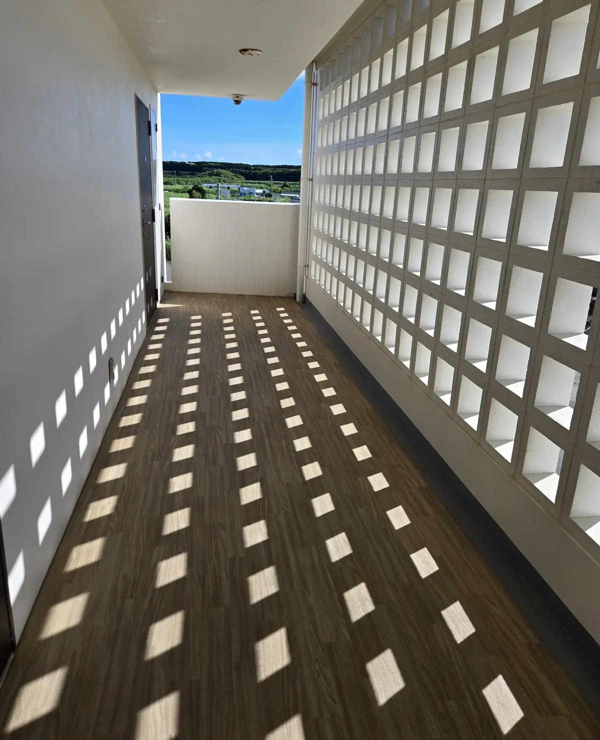 伊良部島で過ごす4度目の夏 私が帰りたくの画像_10