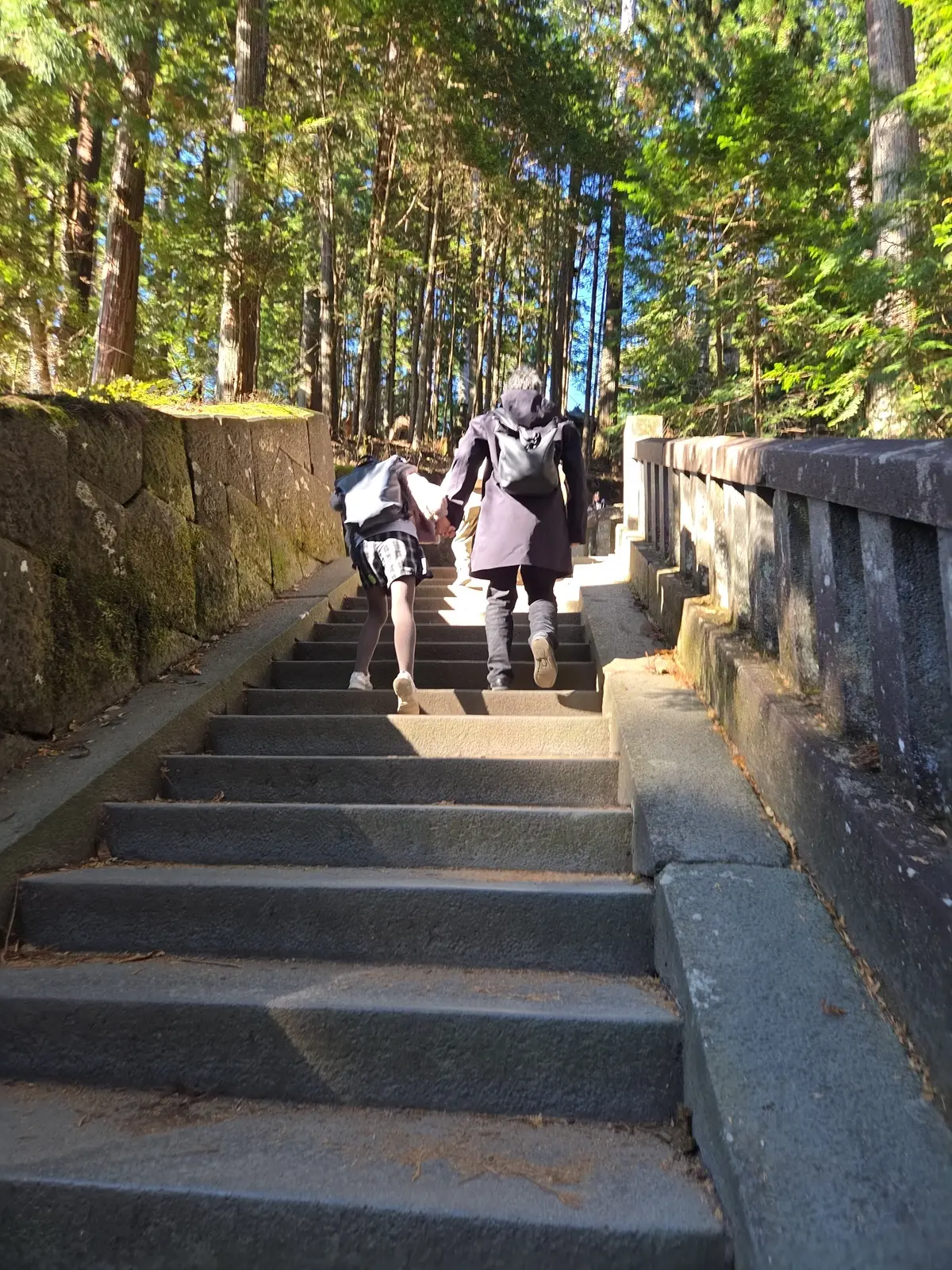 晩秋の日光・宇都宮旅 前編 世界遺産めぐの画像_11