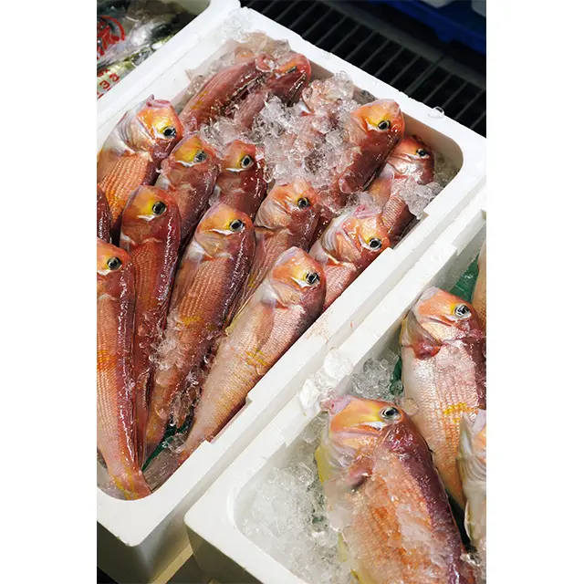 桜色に輝く甘 鯛。