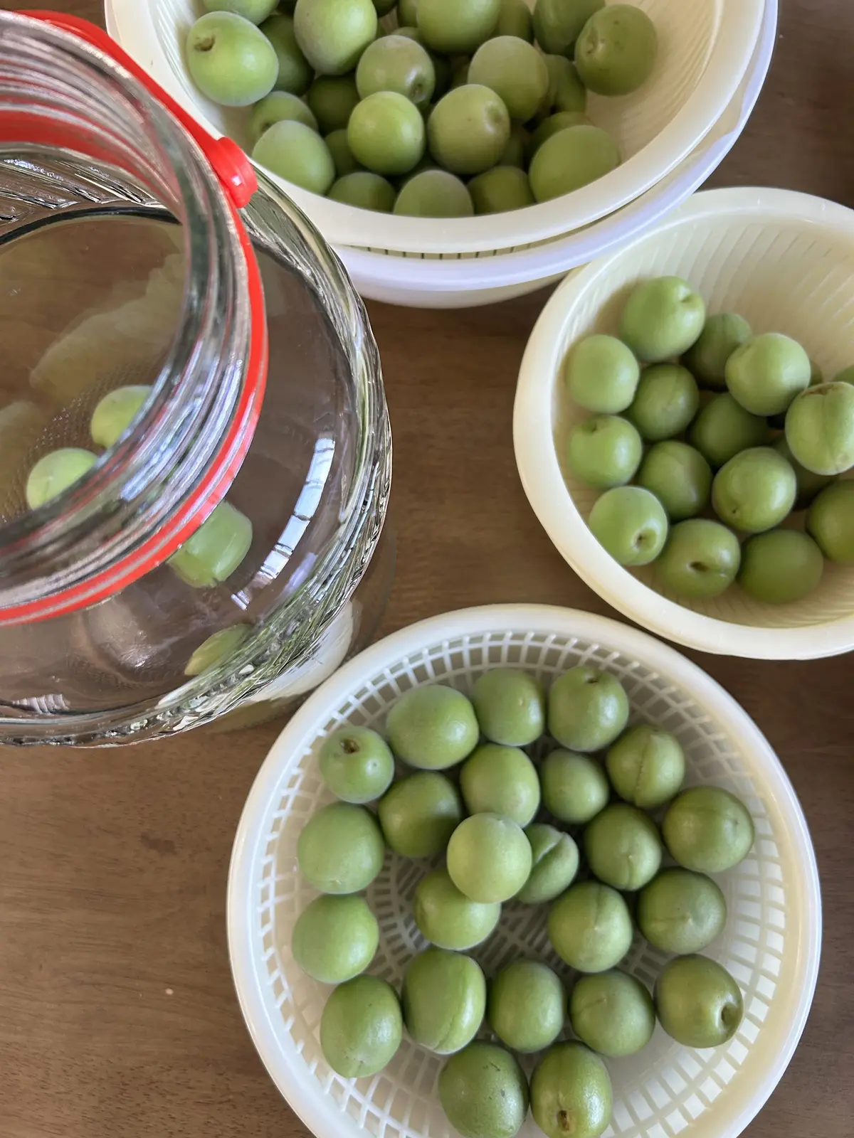 初夏の手仕事、今年も梅シロップを作りましの画像_3