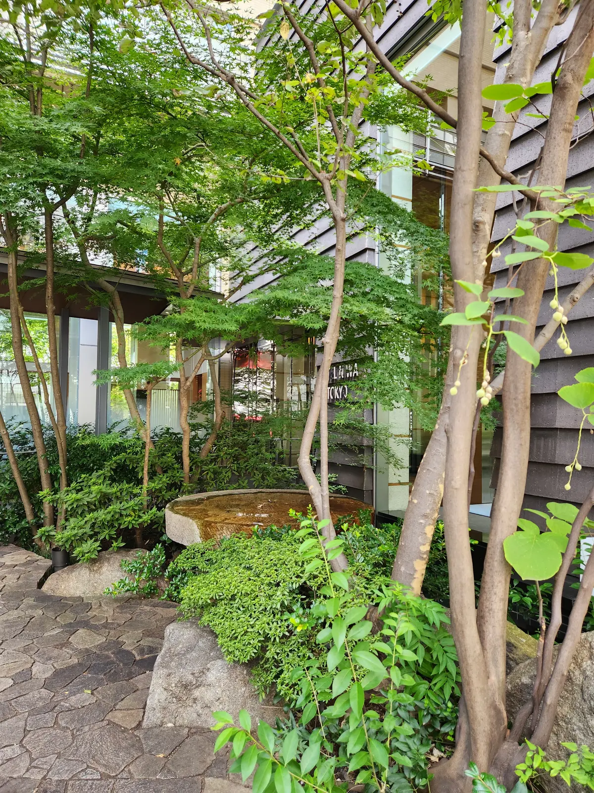 秋のデニムでご近所ランチの画像_1