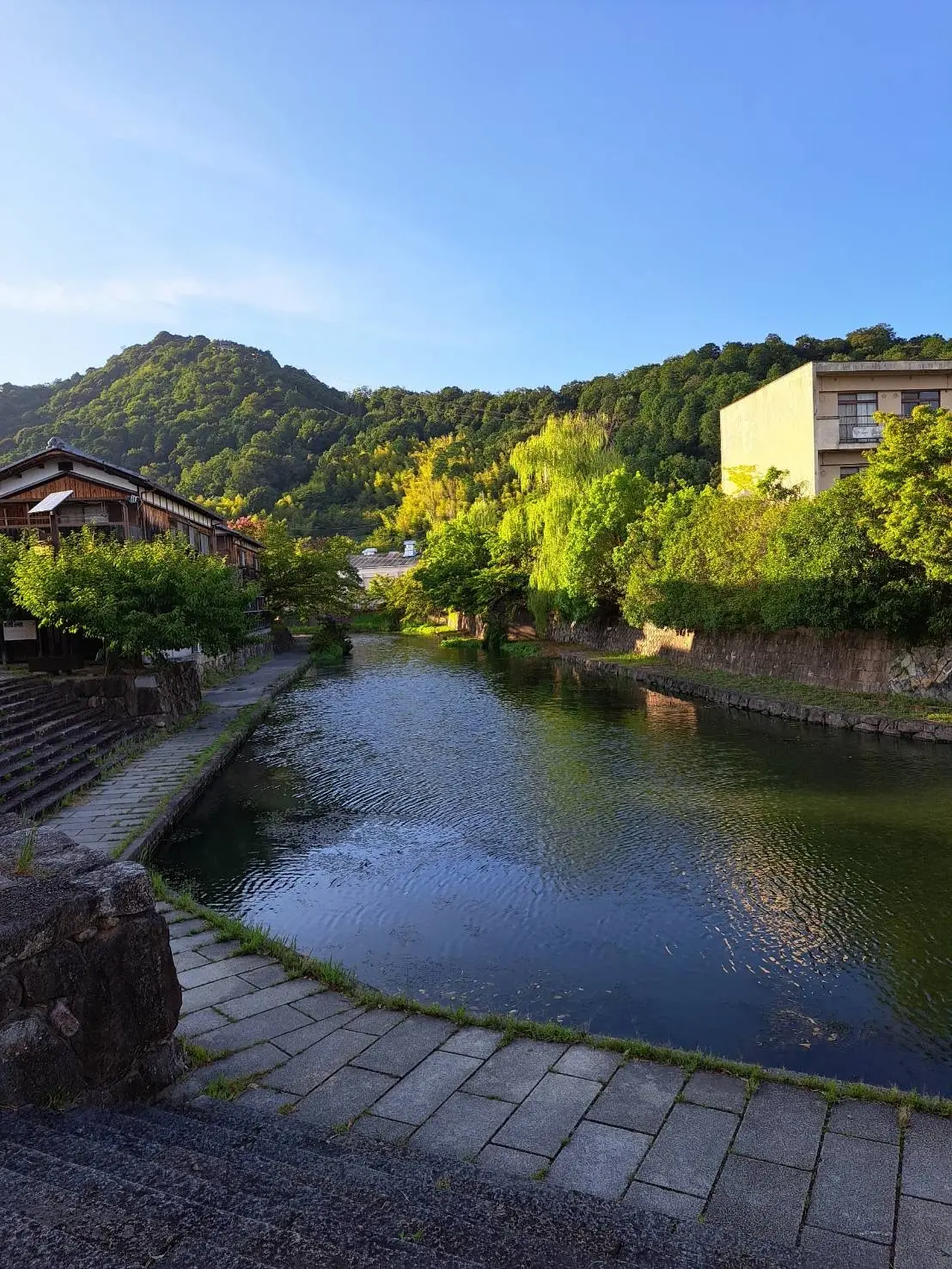 近江八幡さんぽと看板犬がいる「仁之助珈琲の画像_2