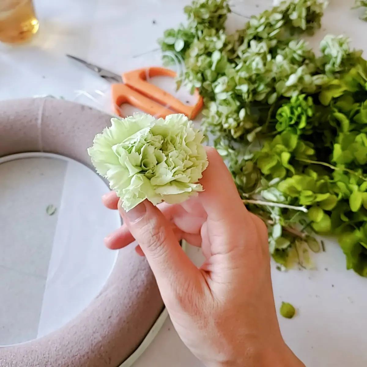 グリーンのカーネーション