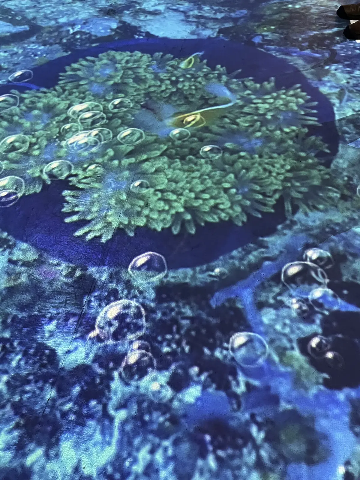 Hawaiianなアフタヌーンティーへの画像_11