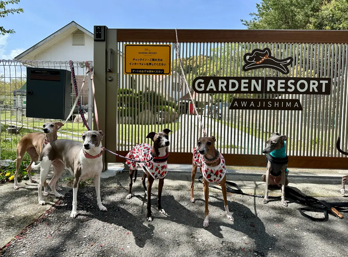 ワンズと淡路島旅行はいかが？😊の画像_9