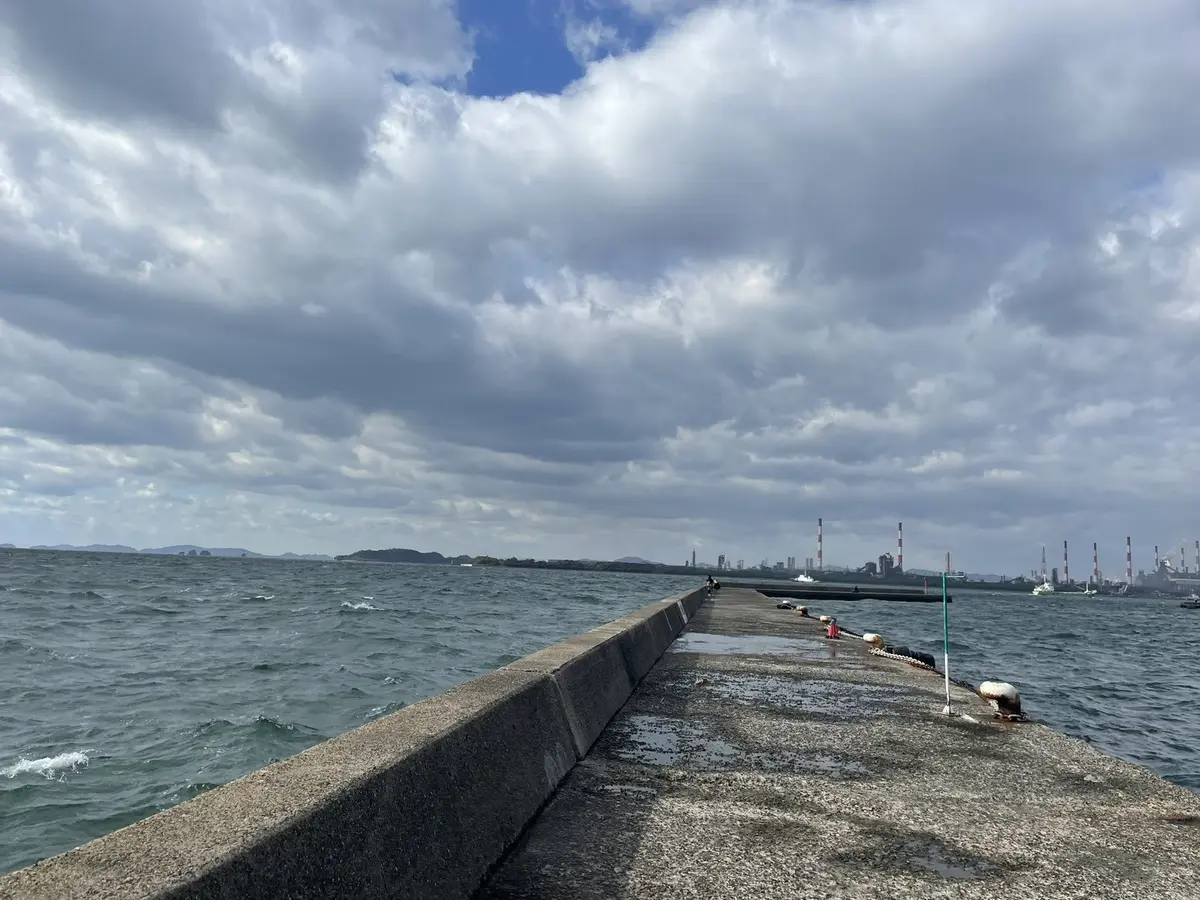 パール付きカーディガンコートにZARAをの画像_4