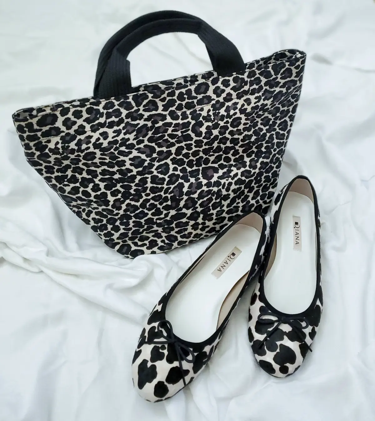 レオパードで冬支度の画像_1