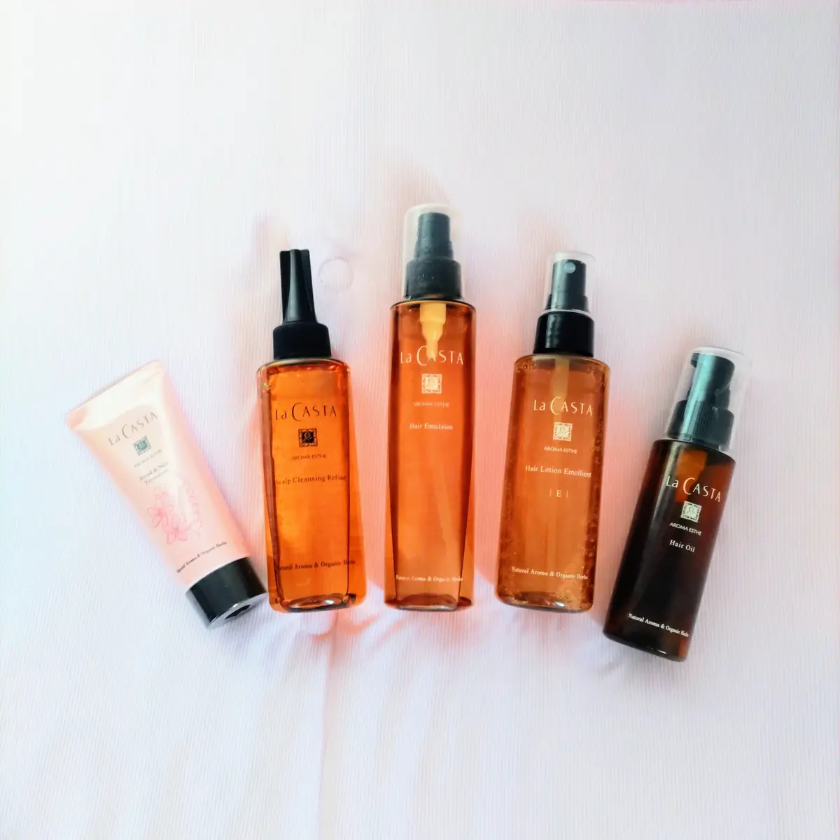 『ラ・カスタ』の画像_1