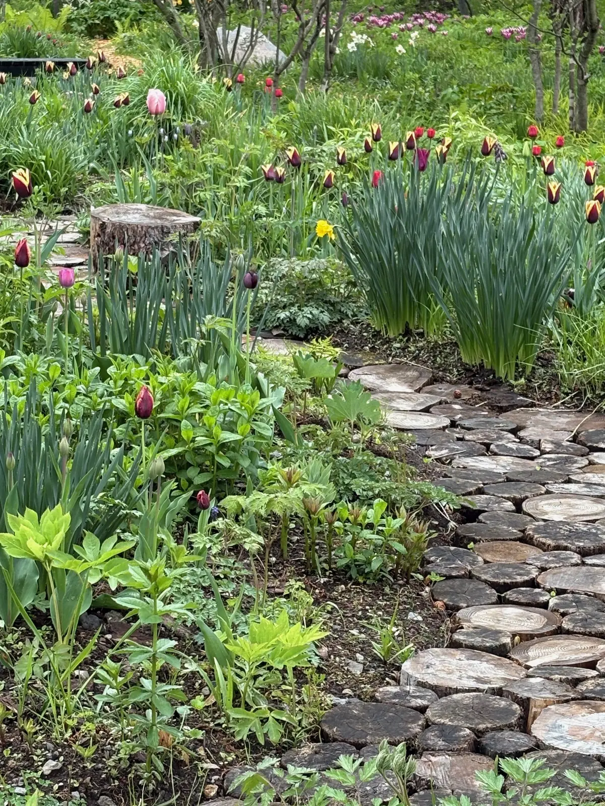木を輪切り？にして作られた小道は、家の庭の参考に♡