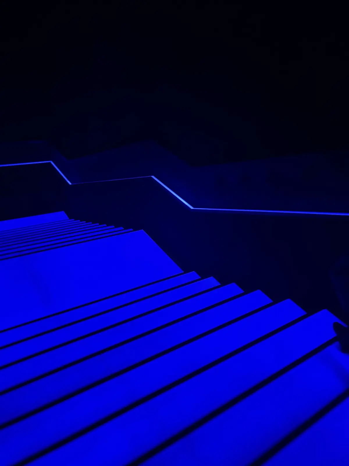 展示会 ”エプソン チームラボボーダーレス”の様子