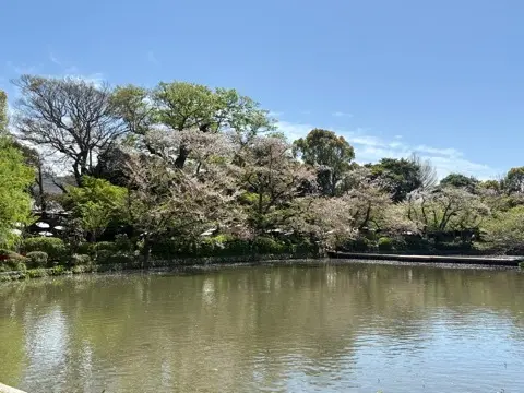 春の鎌倉でとんぼ玉作りの画像_11