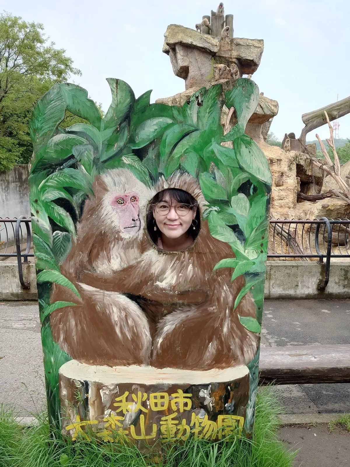 大森山顔ハメパネルの私