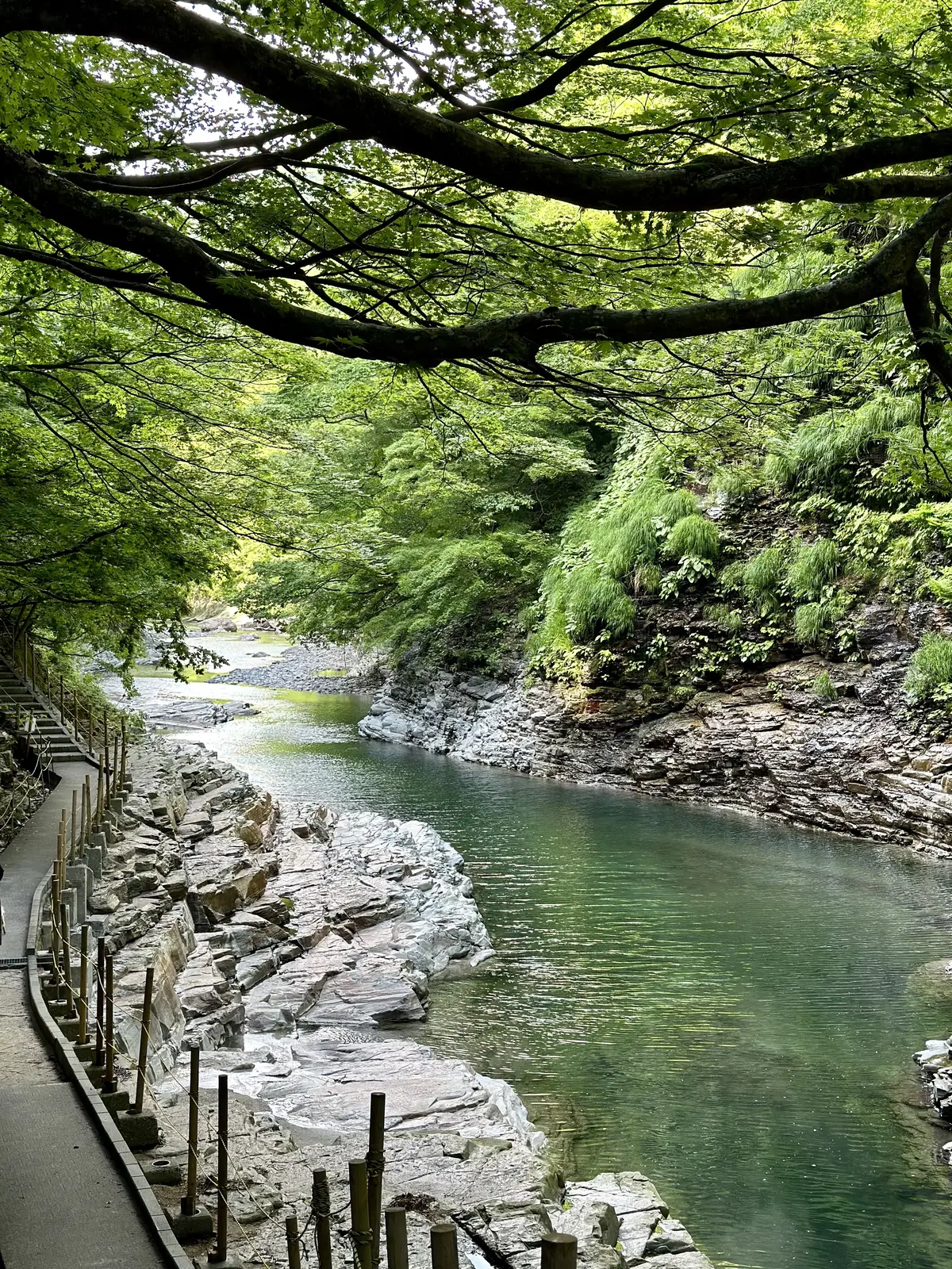 【秋田】雄大な自然と温泉を楽しむ旅ー秋田の画像_28