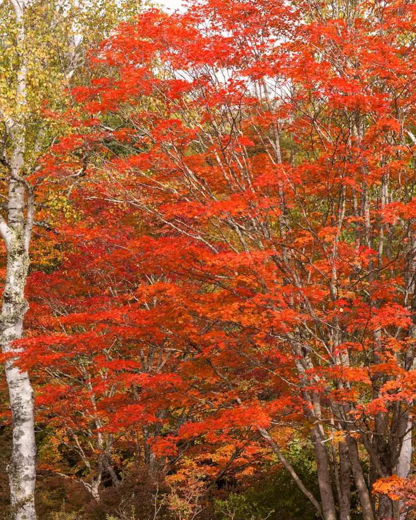 横谷観音展望台
