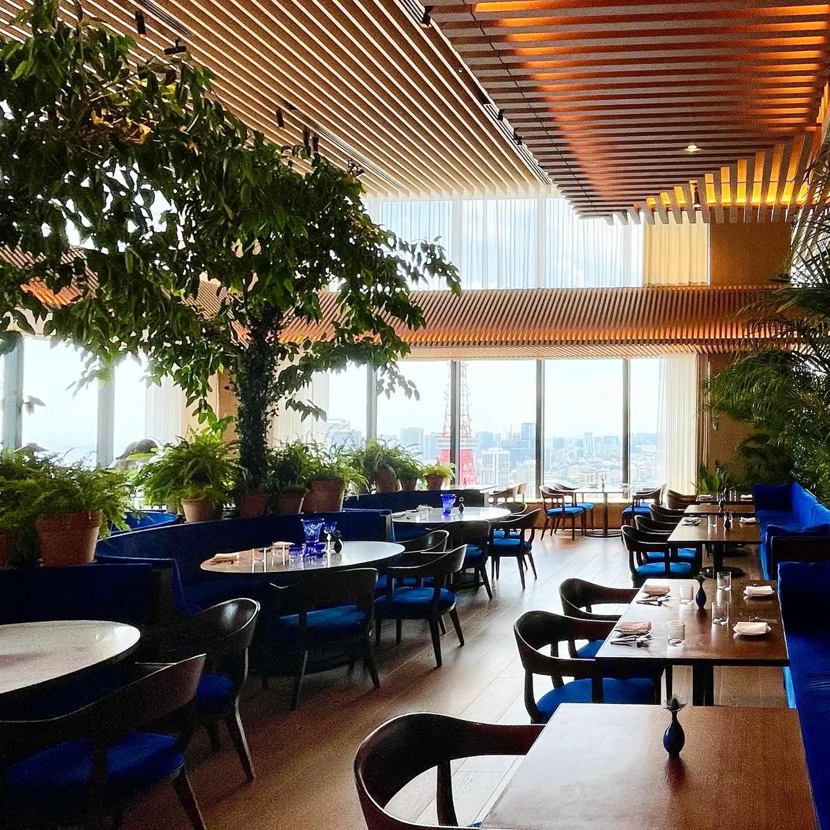 東京エディション虎ノ門のレストラン「ブルーダイニング」の店内写真