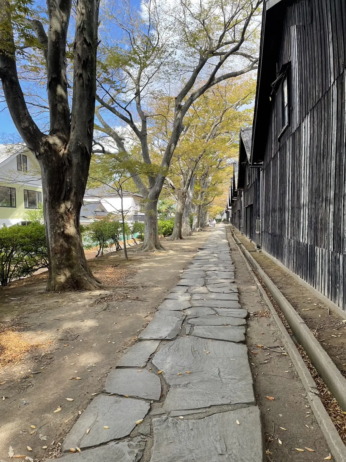 山形満喫日記🖊の画像_9