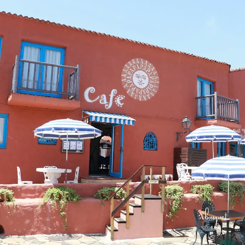 サルジニアゾーン