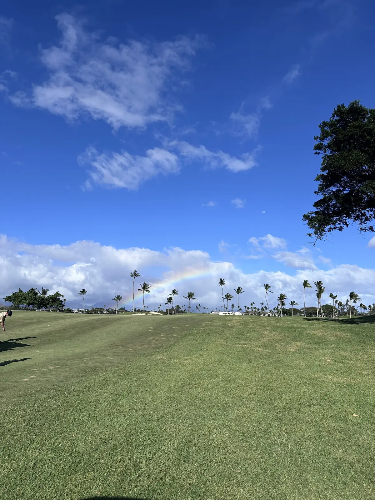 ハワイでのアクティビティの画像_11