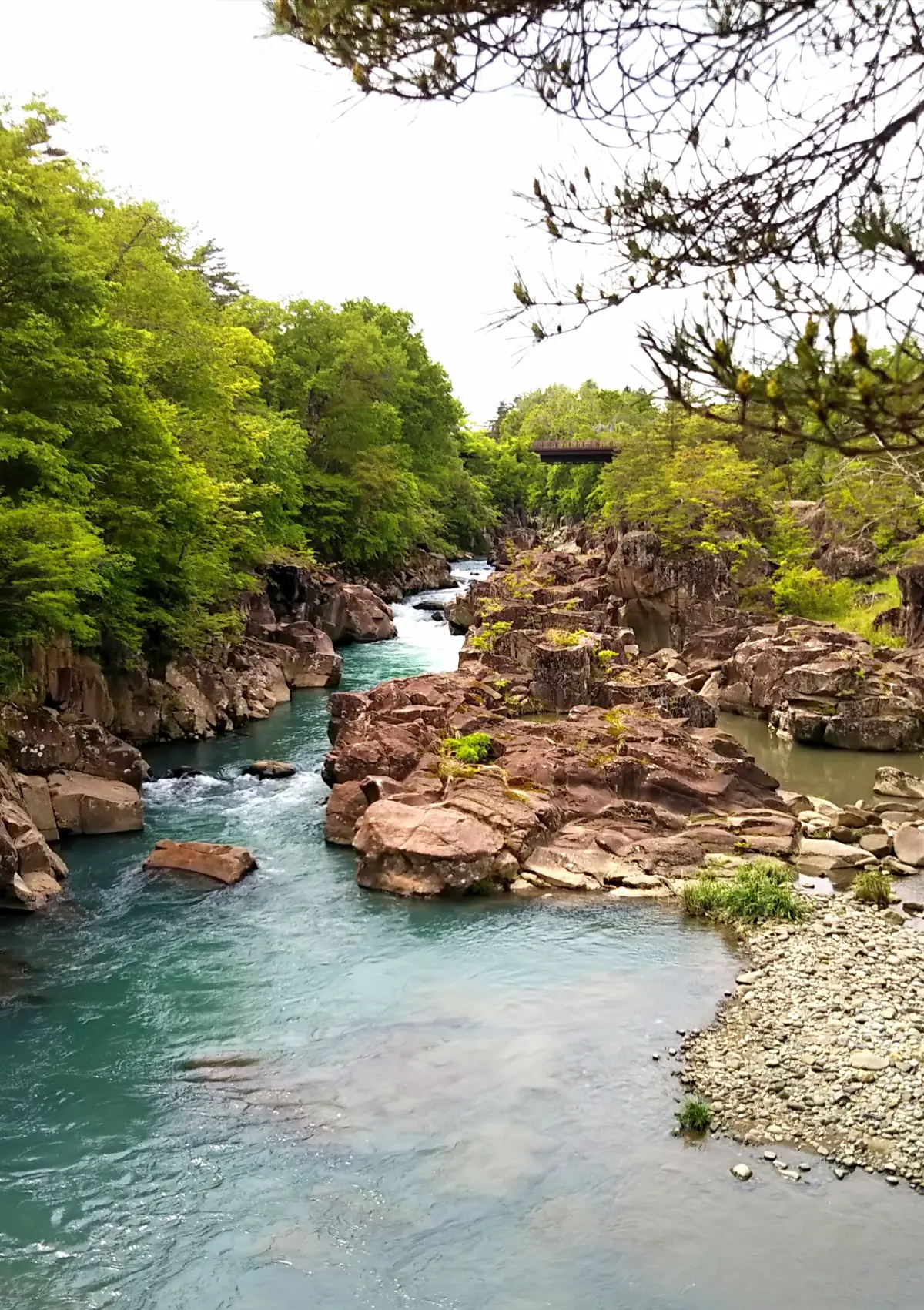 新緑の渓谷で、お団子を食す🍡の画像_7