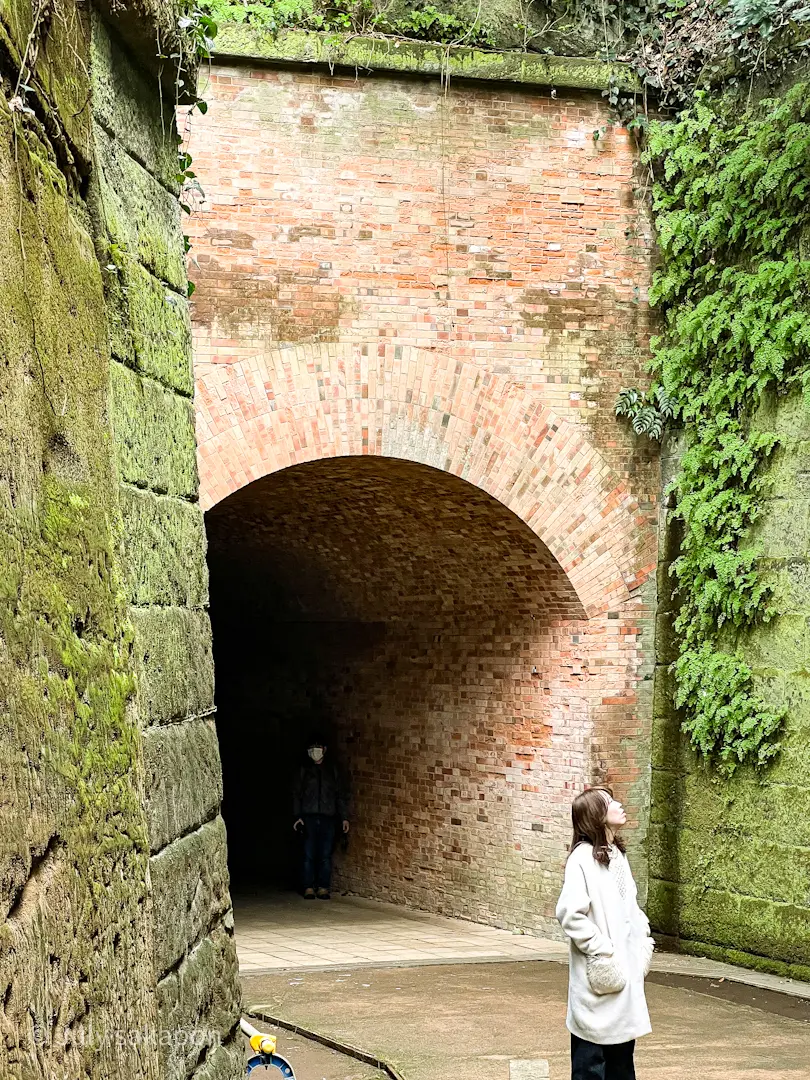 【さかぽんの冒険】後編☆横須賀きっぷの旅の画像_1