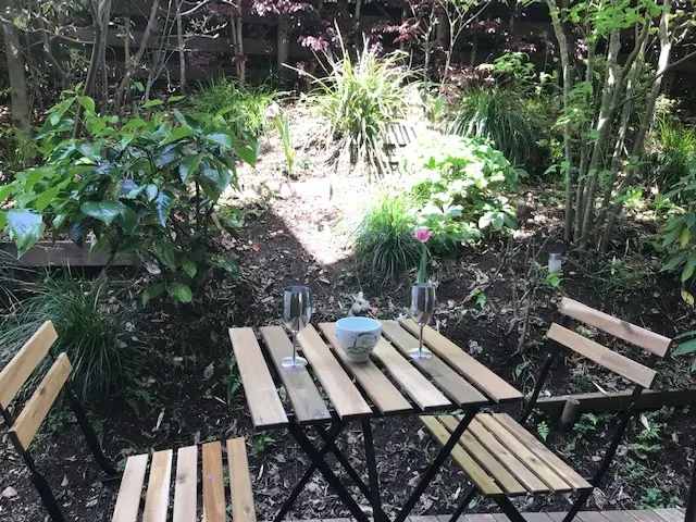 ☆裏庭に星が舞い降りた？☆の画像_1