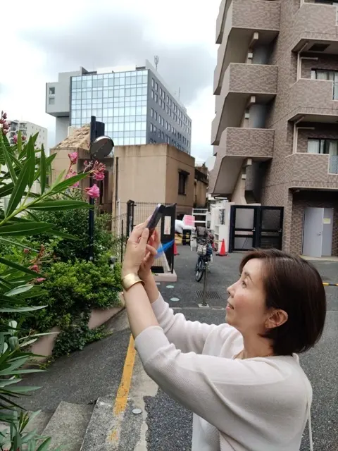 四谷荒木町の花を撮る