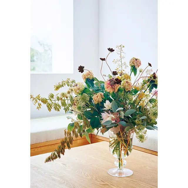 シックな色合いの「チョコレートコスモス」