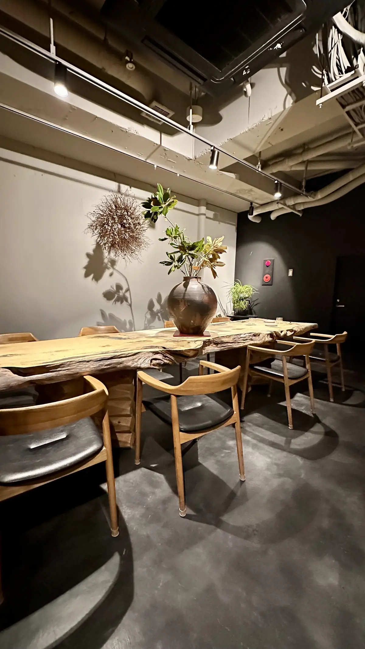 表参道の隠れ家ランチ　豊かな自然を味わうの画像_11