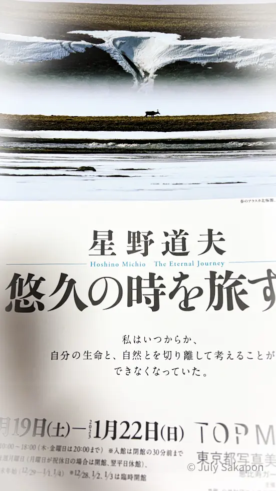 【さかぽんの美術手帖】カリブーを追って@の画像_1