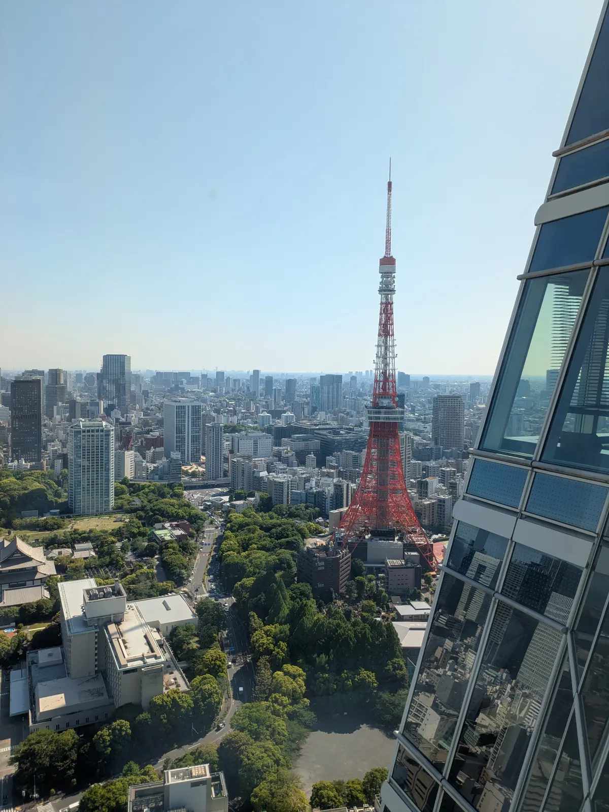 愛宕グリーンヒルズの絶景レストランで天麩の画像_10