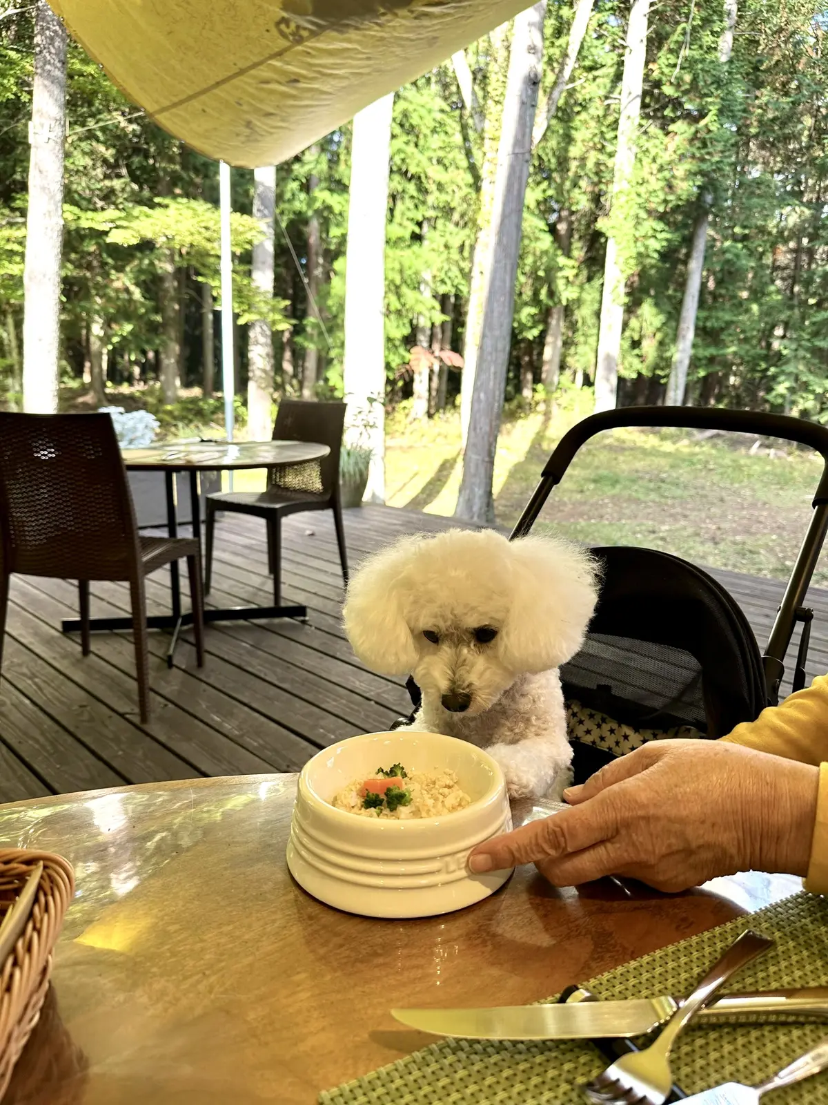 静かな時間と秋の景色を楽しむ河口湖の旅の画像_34