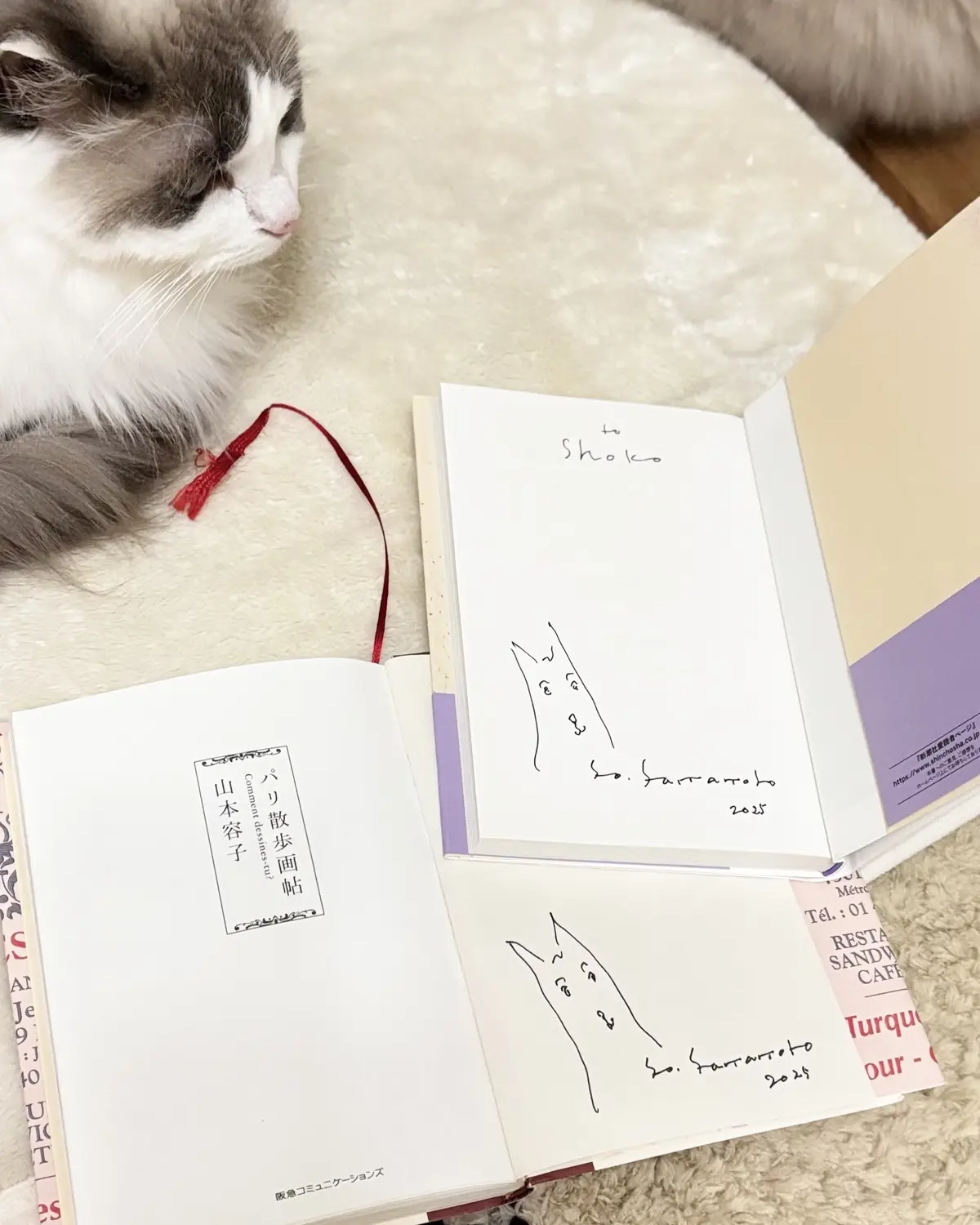 山本容子さんのサインと猫（上の子）