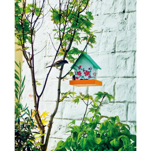 ❹設置した餌箱に餌をついばみにくるかわいい小鳥に癒されていた毎日