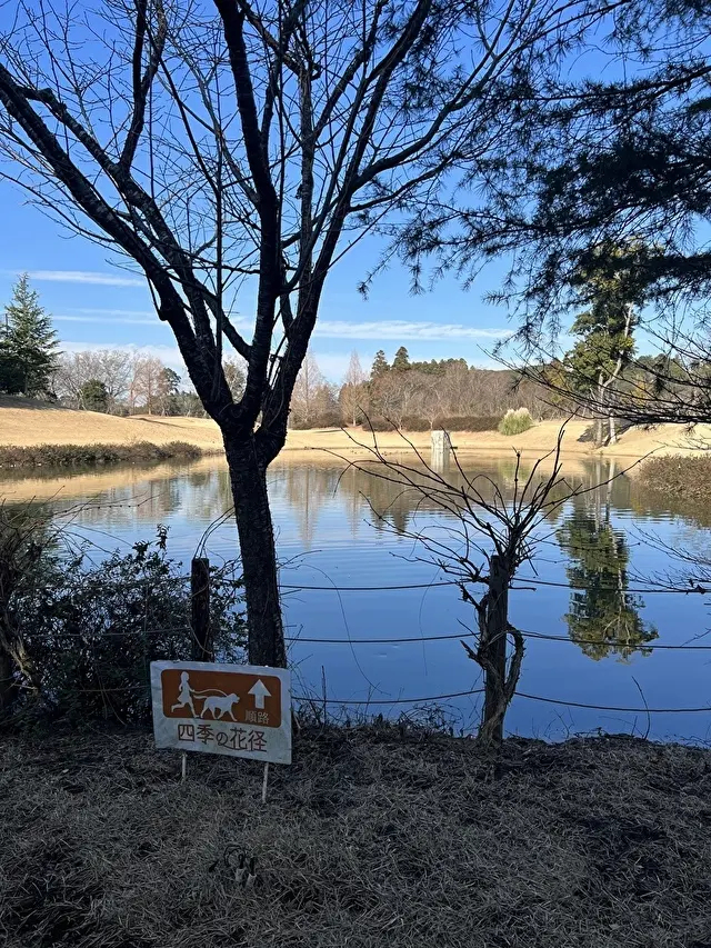 景色が素晴らしい