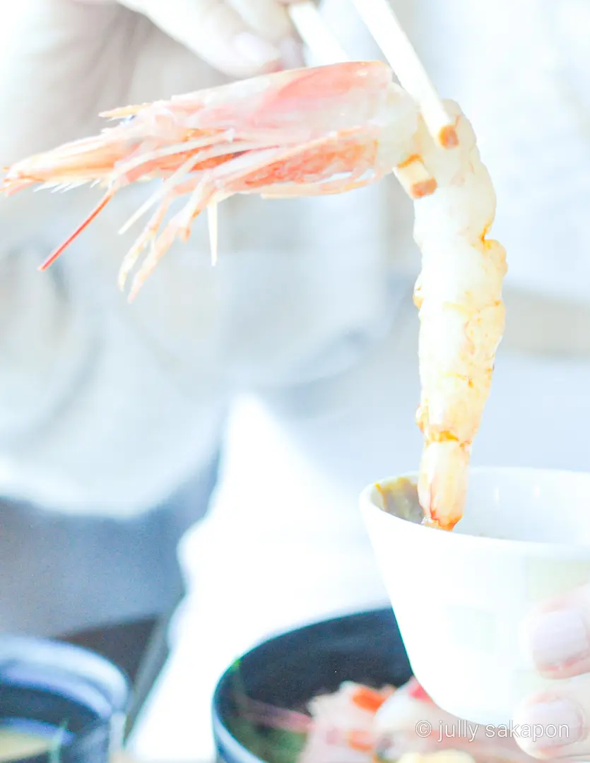 【さかぽんの冒険】三崎マグロきっぷ❤️海の画像_9