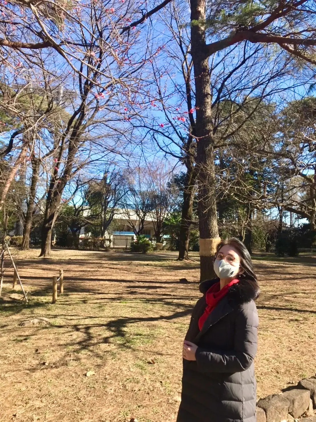 大宮公園の紅梅と女性