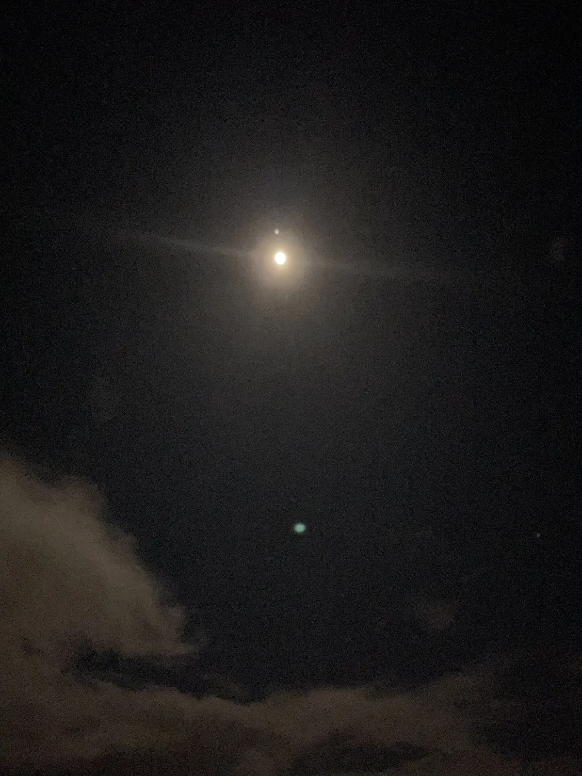 週末は新鮮な魚介とワインで家飲み♩の画像_5