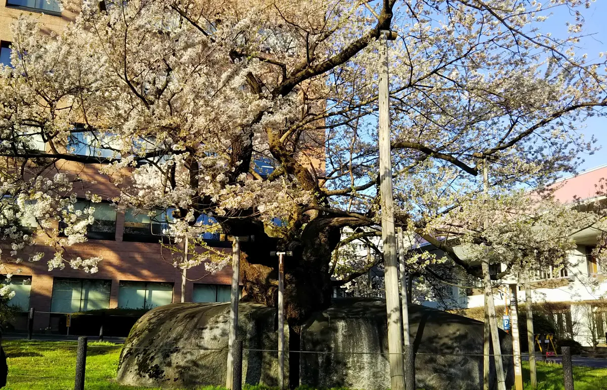 盛岡地方裁判所