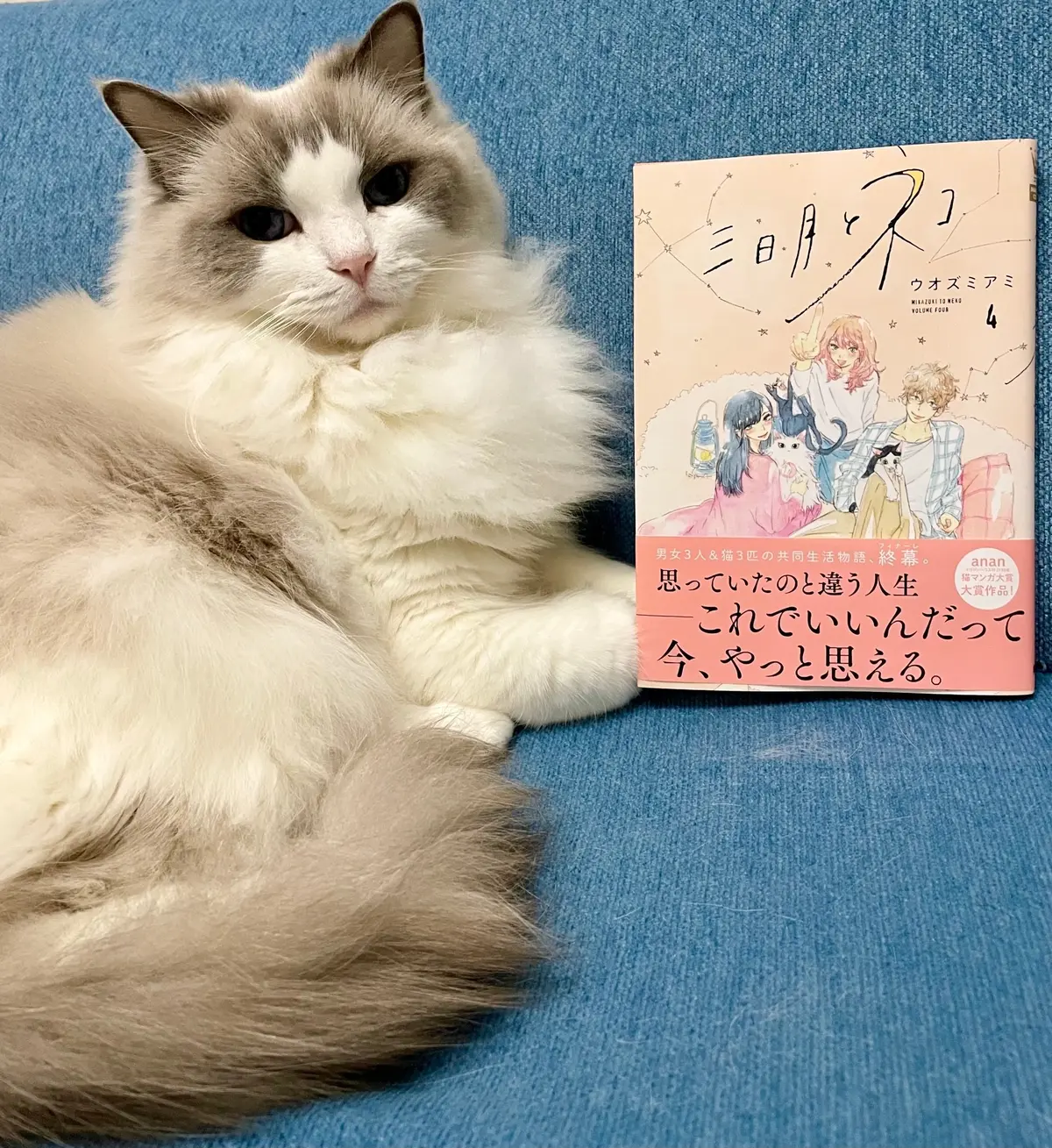 三日月と猫(漫画)と猫