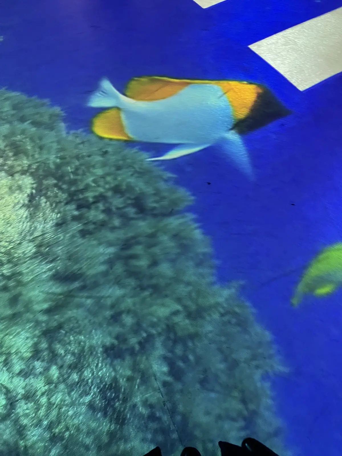 素敵なTEA HOUSEで桜を束ねるの画像_4