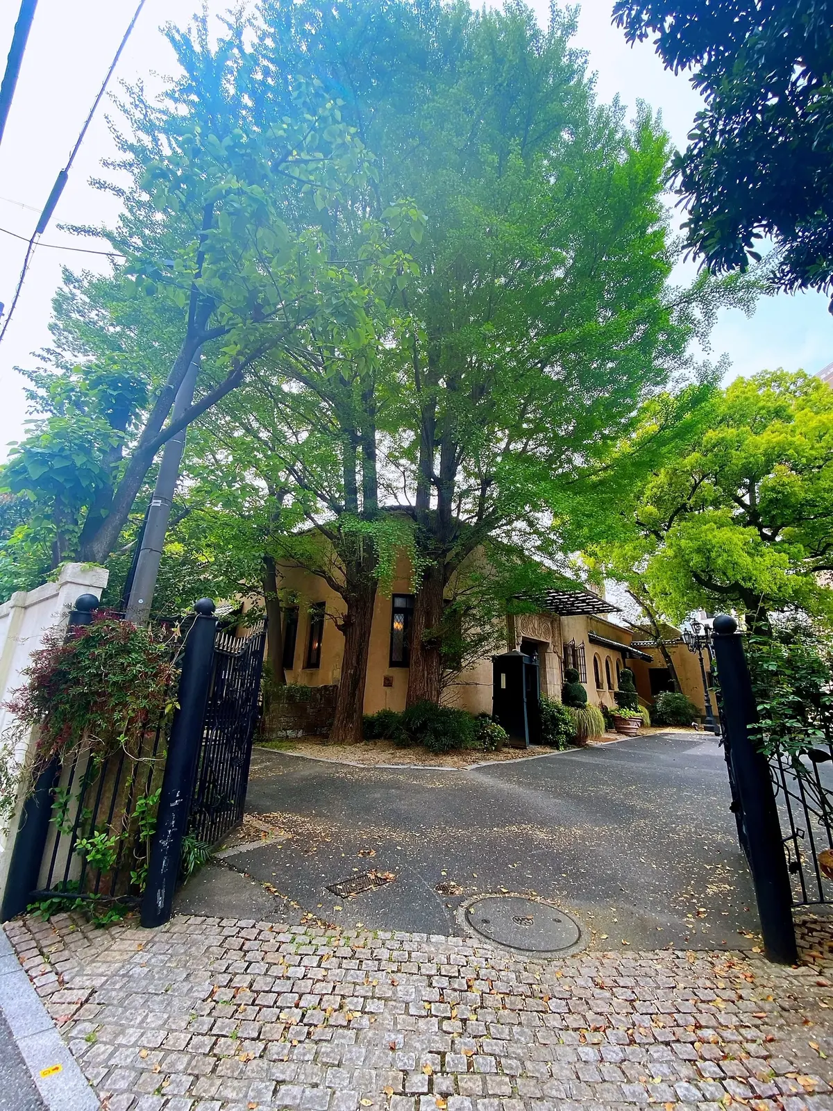 日常を忘れる小笠原伯爵亭でのランチの画像_2