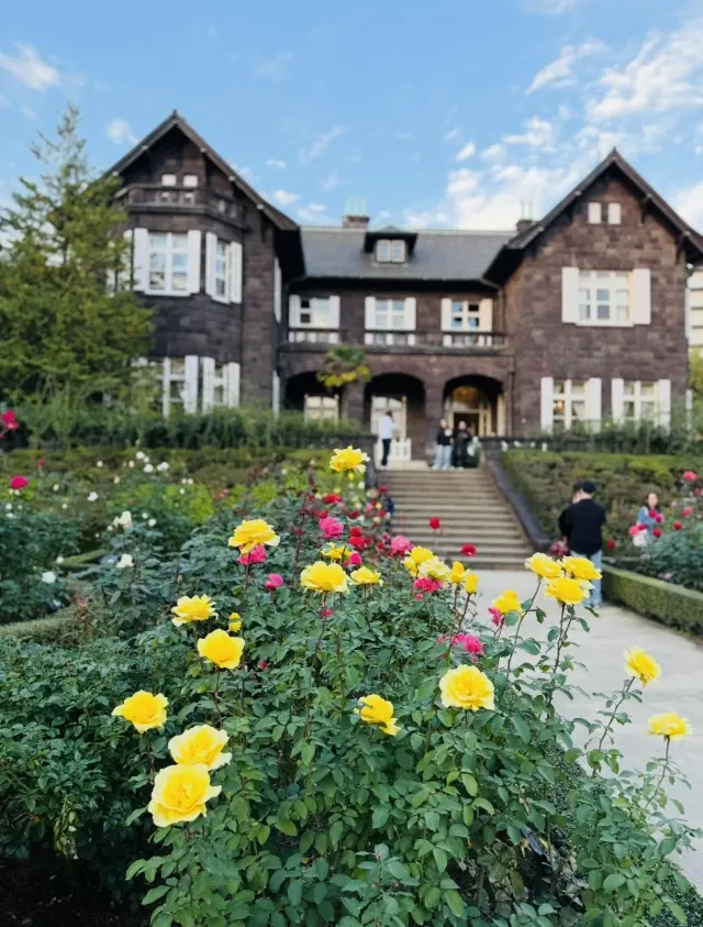 美しいバラと紅葉、旧古河庭園への画像_1