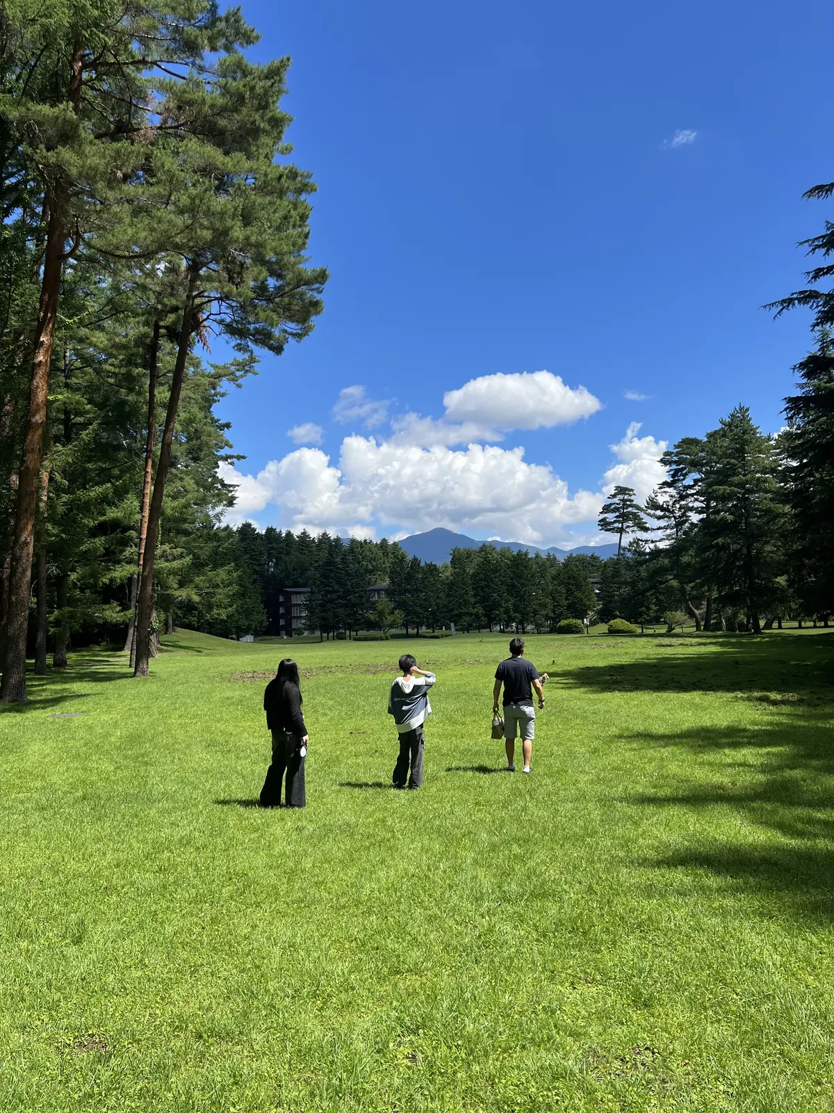 家族の写真を背後から