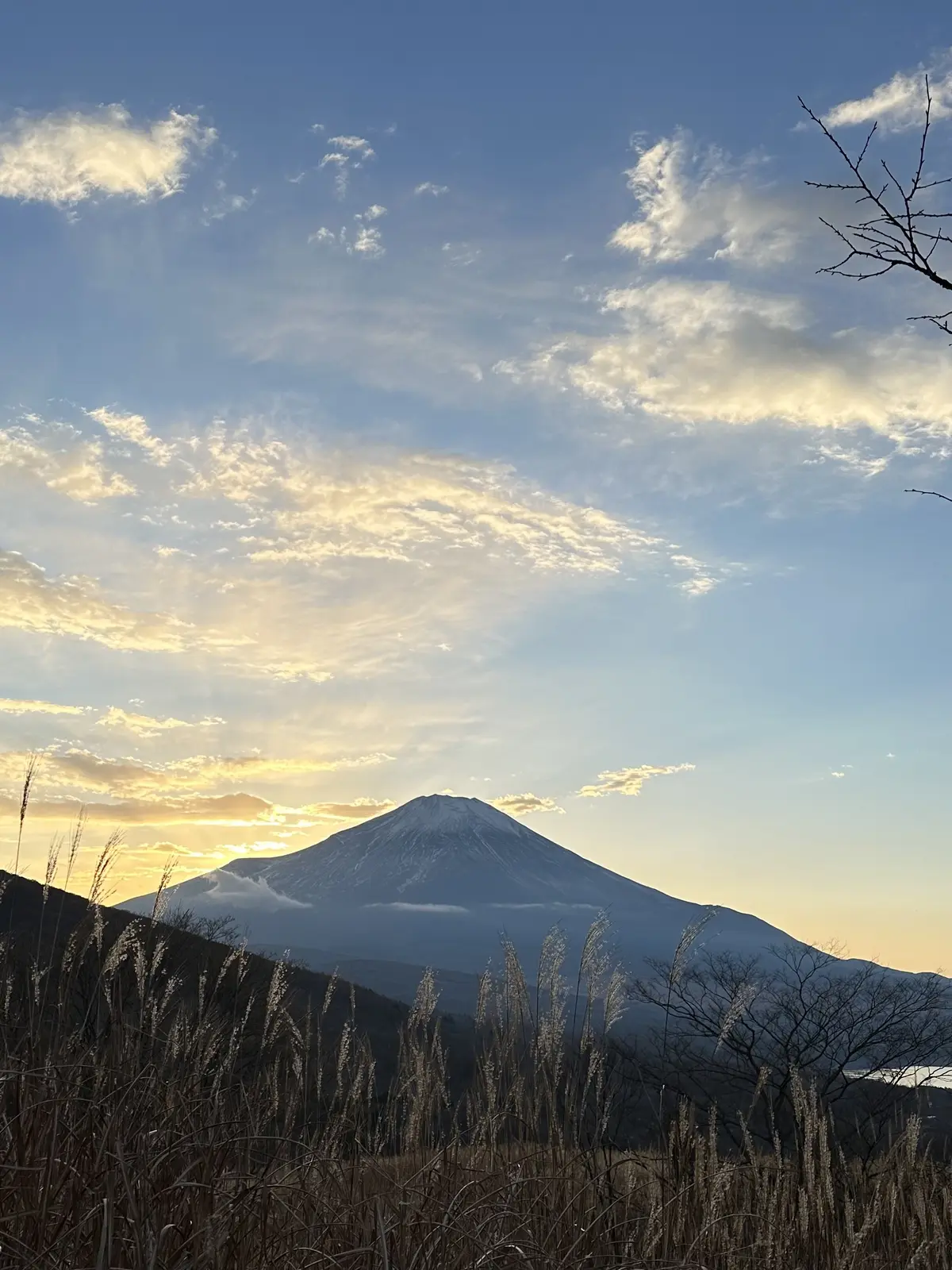 会員制人間ドッグ　グランドハイメディックの画像_3