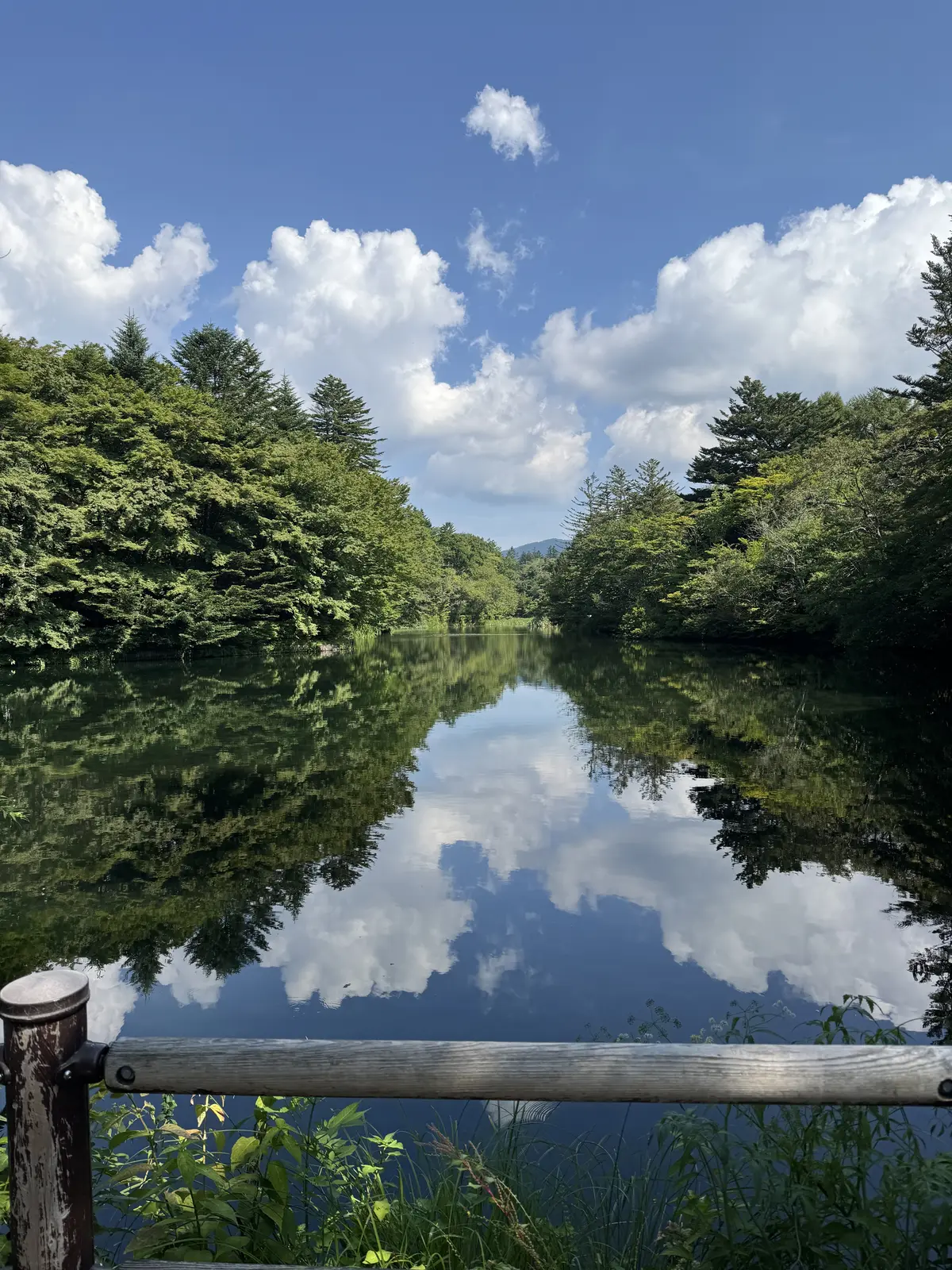 雲場池　軽井沢