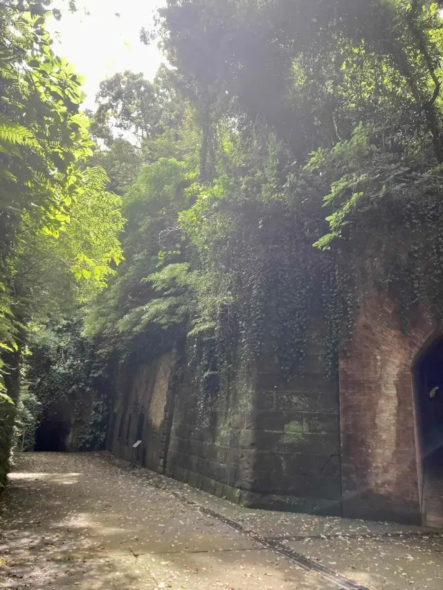 猿島　トンネル　フランス式レンガ造り　釣り
